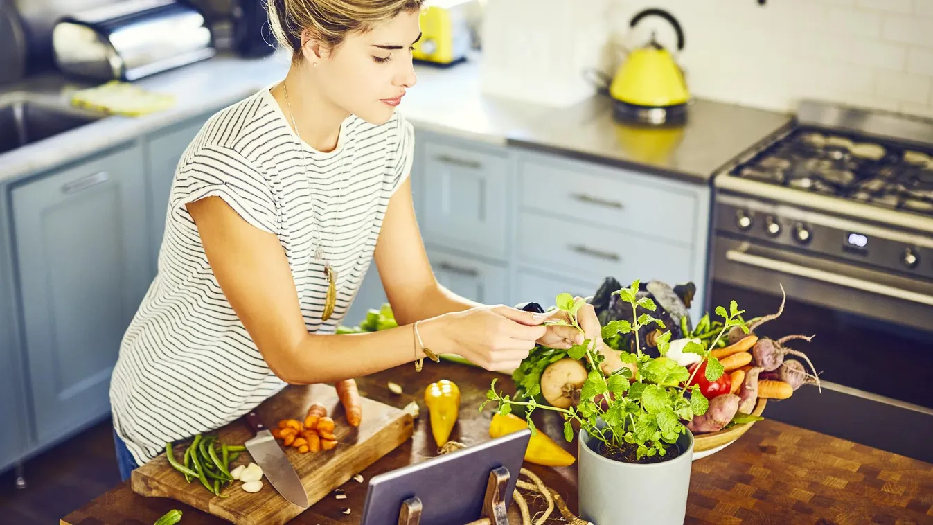 Young woman picking mint leaves at kitchen island Kitchen Island Wireless Technology Computer Digital Tablet Preparing Food Healthy Eating Young Women Females Kitchen Knife Recipe Three Quarter Length Domestic Life Looking Down Raw Food Cutting Board Youn