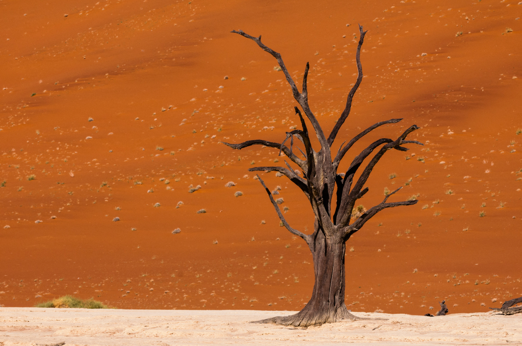 Deadvlei, Namíbia 