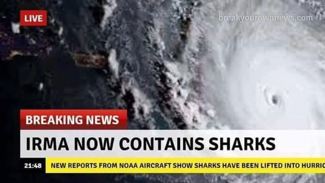 Irma, cápa 