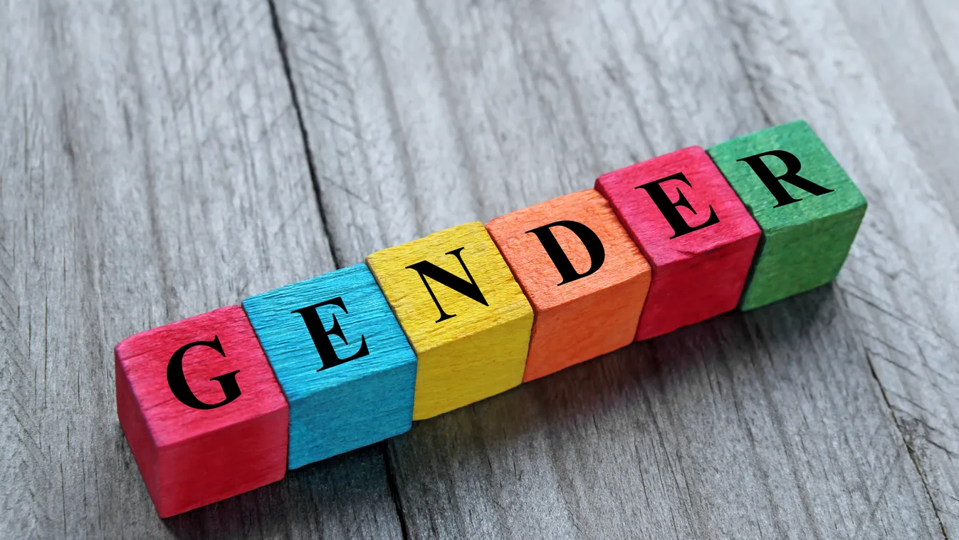 gender nem nemek társadalmi 