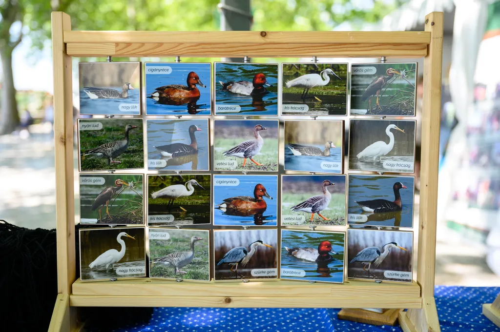 magyar nemzeti park, ünnepség, esemény 