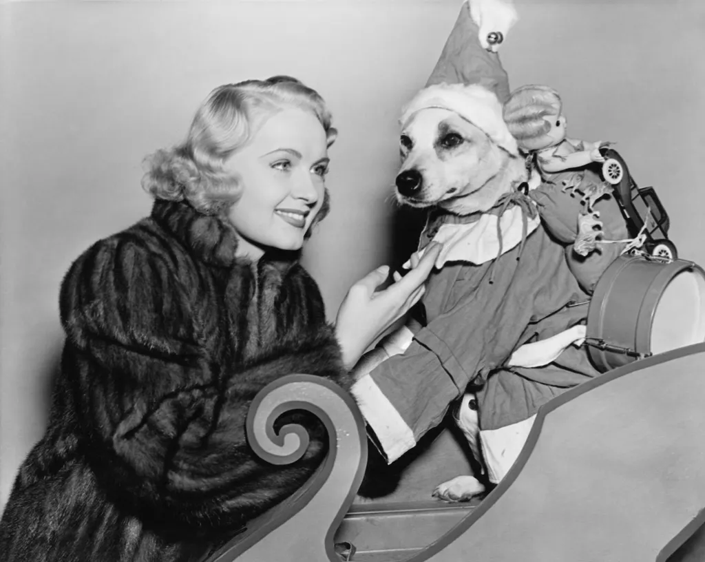 Woman,With,Dog,In,Christmas,Outfit pets,caucasian,happy,hats,historical,humorous,horizontal,coats,h 