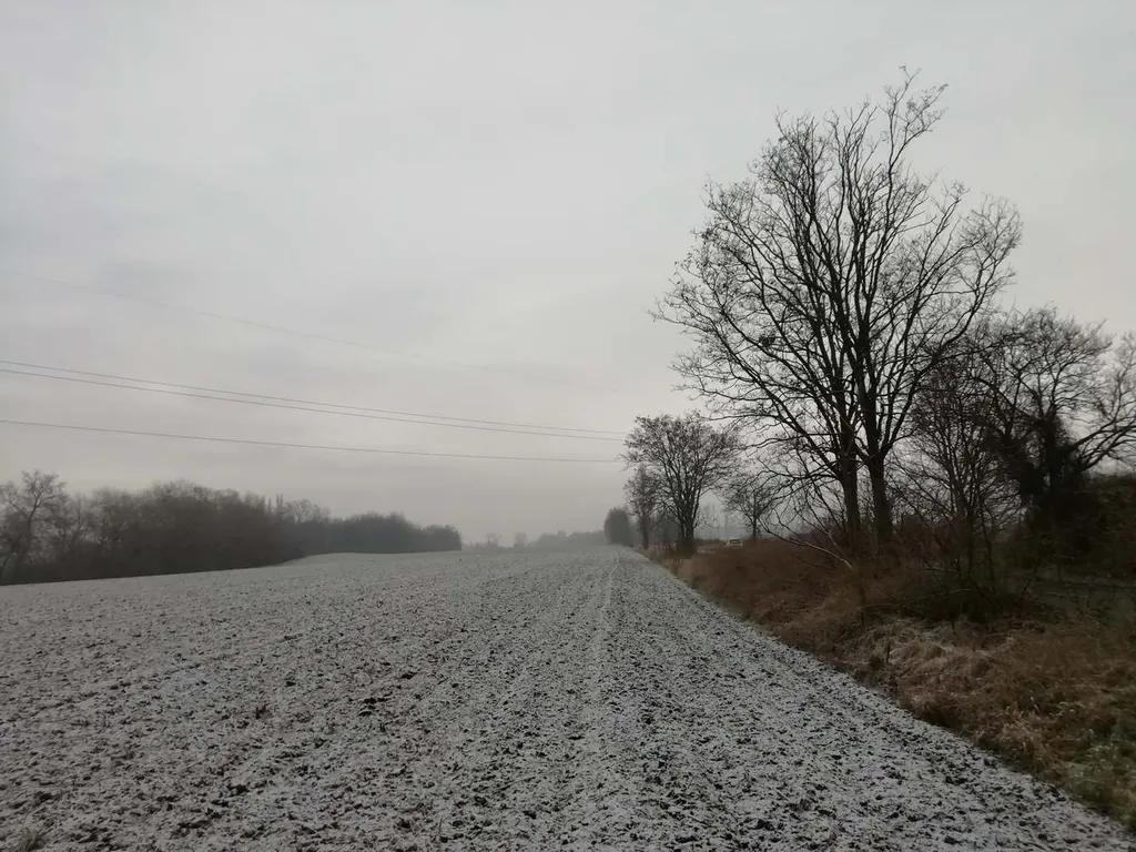 Tél hó havazás Magyarország Naszály 