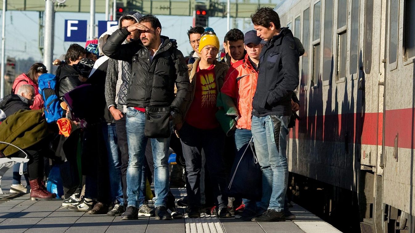 Illegális bevándorlás - Németország, migráns 