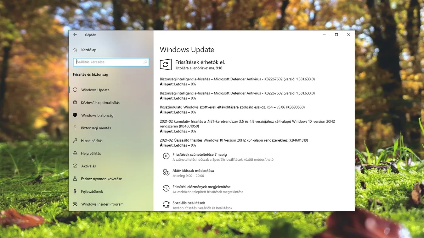 windows update 