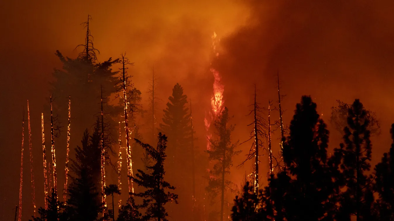 Fire wildfire climate change drought Oak Fire Mariposa County Sierras Sierra Nevada Mountains Yosemite National Park environment TOPSHOTS Horizontal 