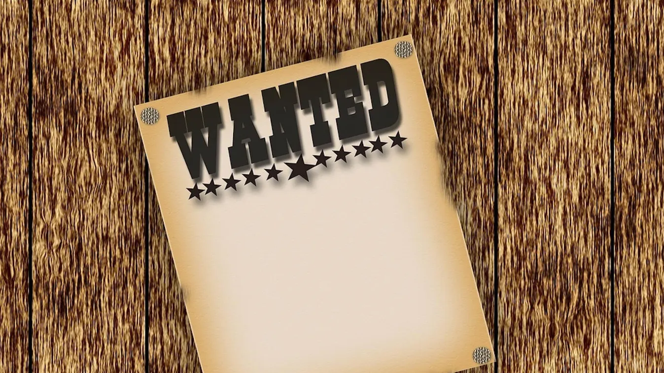 wanted 