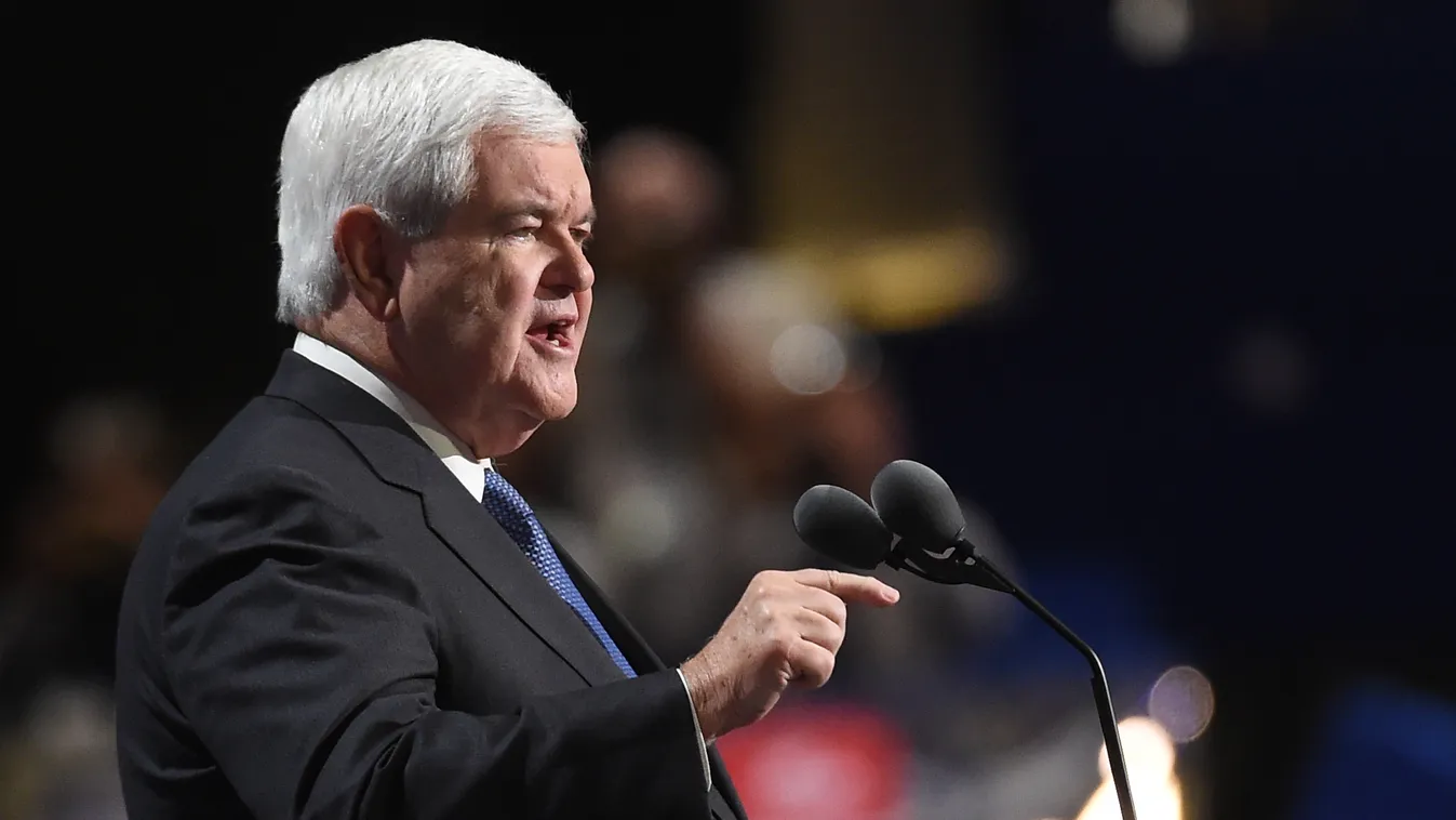 newt gingrich, republikánus, 