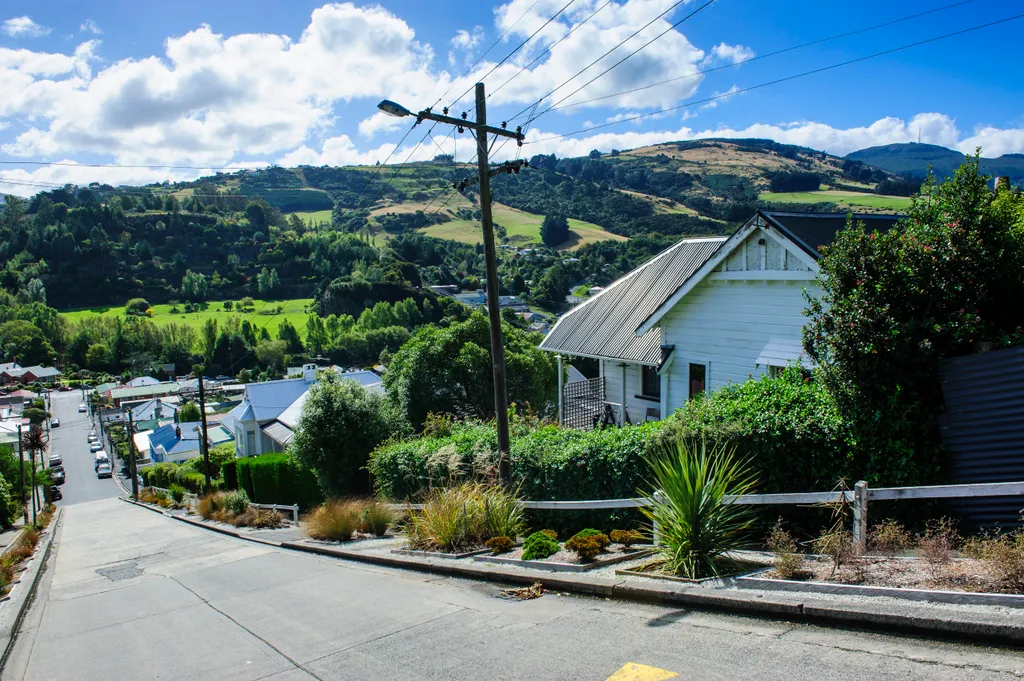 Baldwin Street Dunedin 