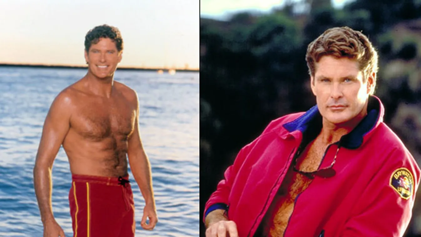 légy képben, David Hasselhoff Baywatch