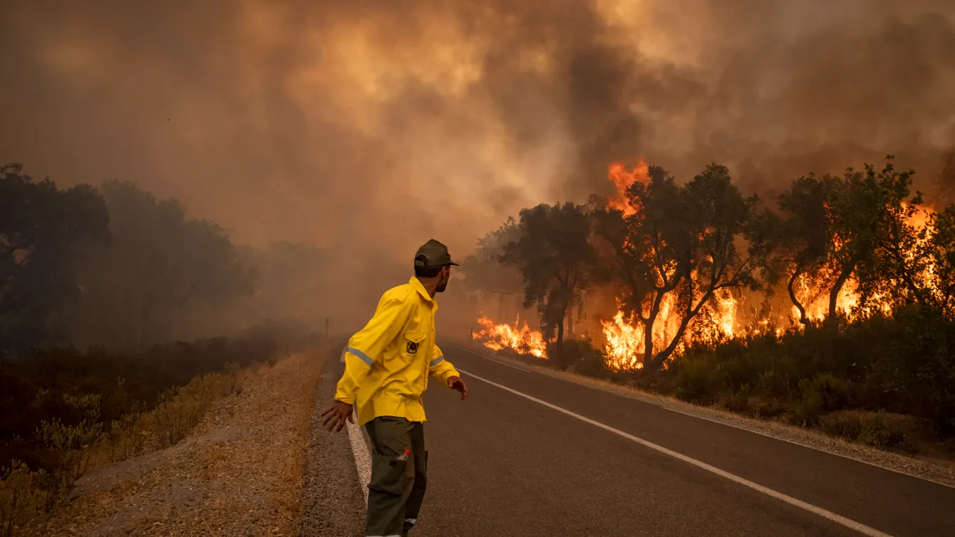 erdőtűz, bozóttűz, tűz, felmelegedés, szárazság, nyár, Marokkó 