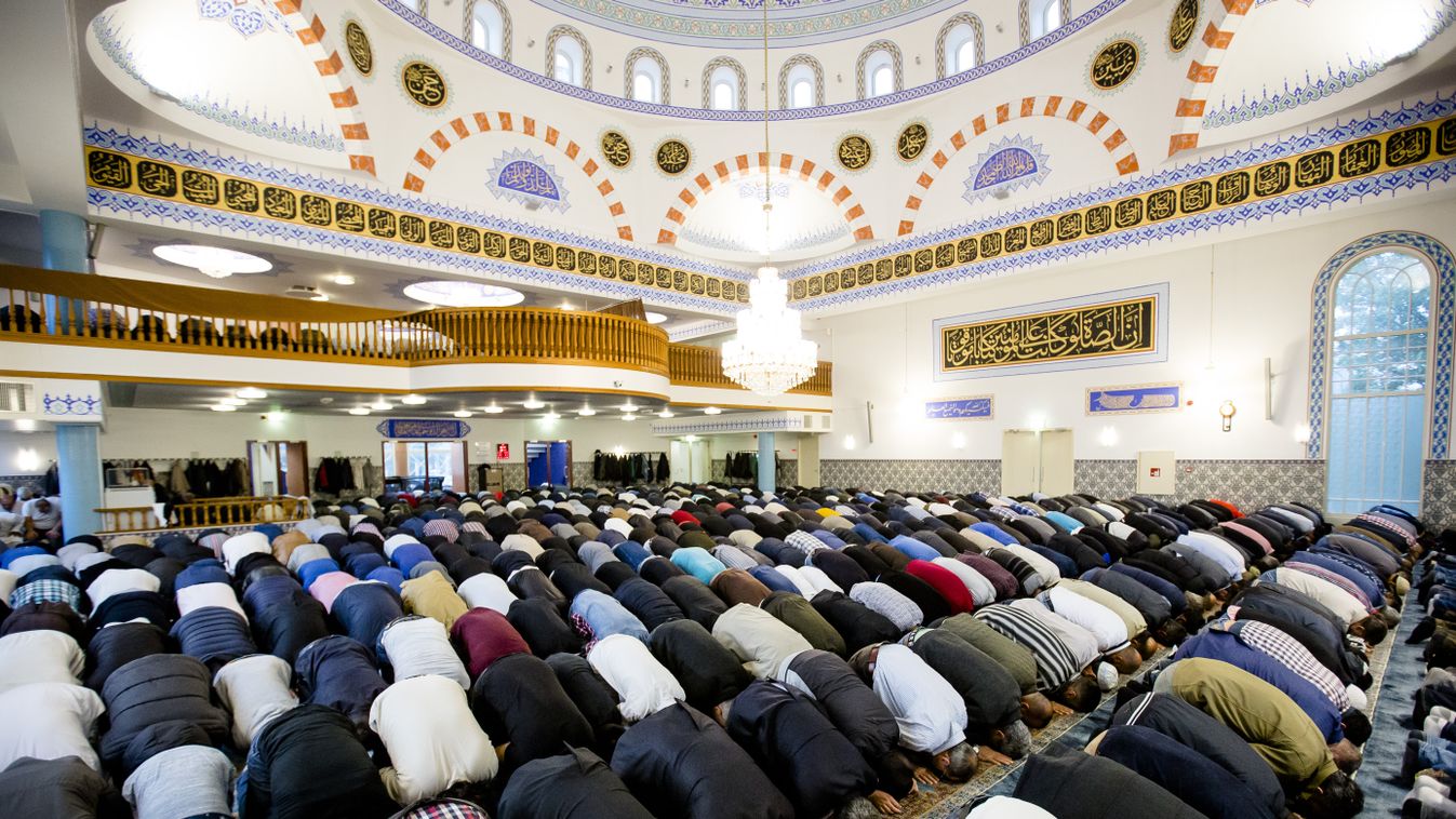 Hollandia, muszlimok, mecset 