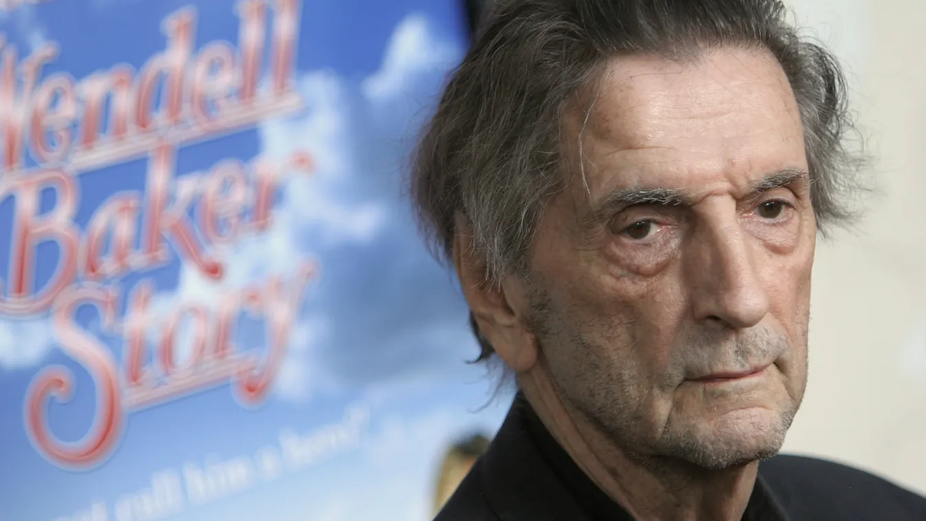 Harry Dean Stanton 