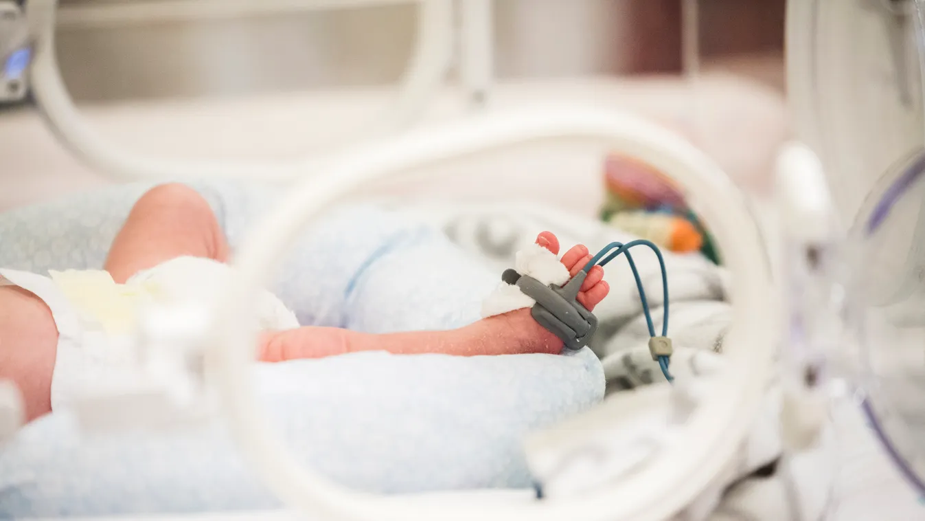 Koraszülött kisbaba, Koraszülöttek világnapja, Heim Pál Gyermekkórház Madarász Utcai Részlegének Koraszülött Osztálya 