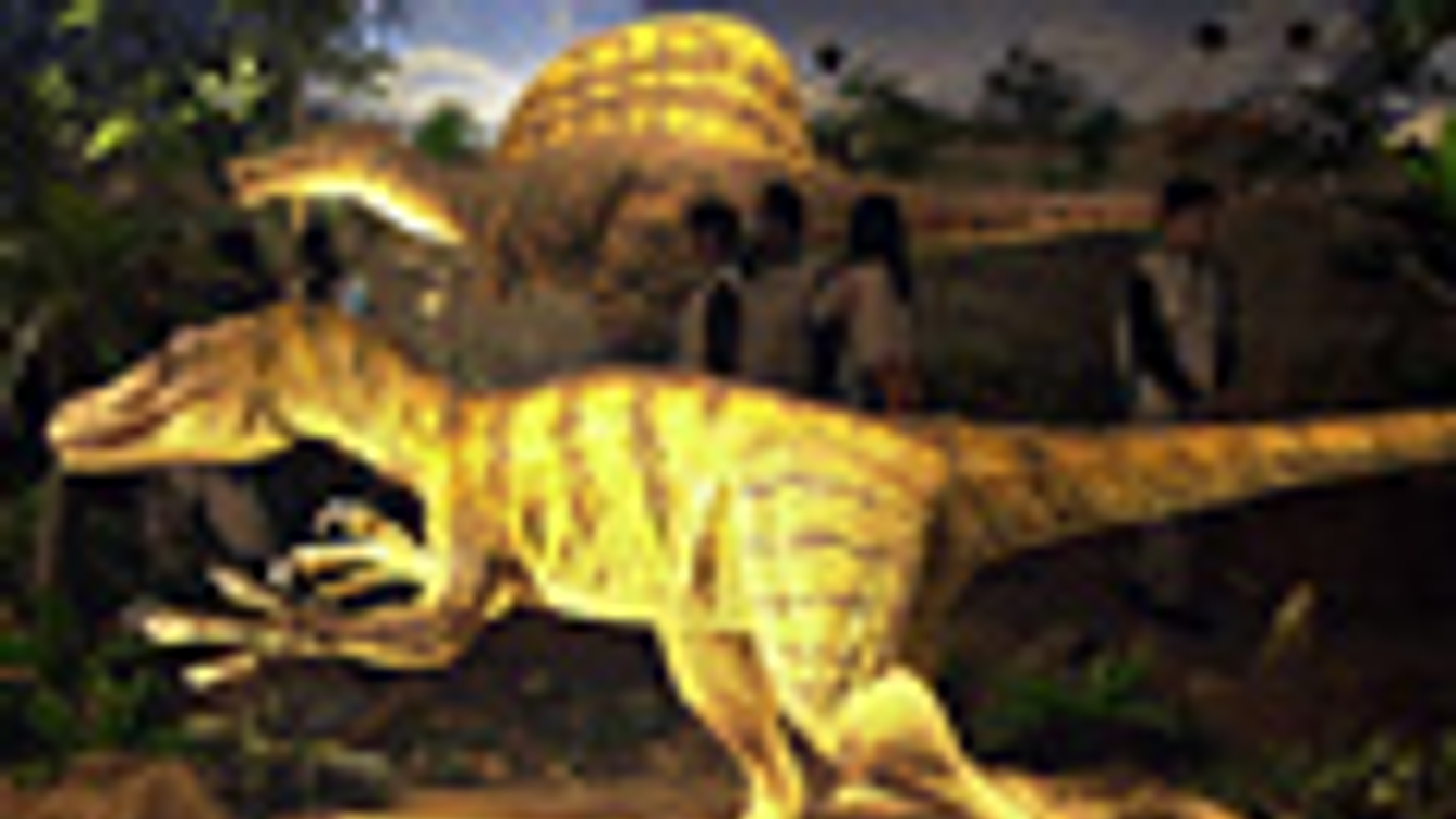 Velociraptor, Taipei múzeum, 2005