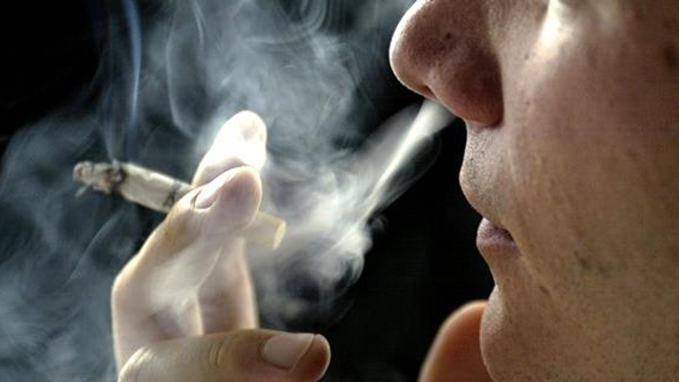 dohányzás, cigifüst, dohányfüst, cigaretta, betiltanák a dohányzást a vendéglátóhelyeken 