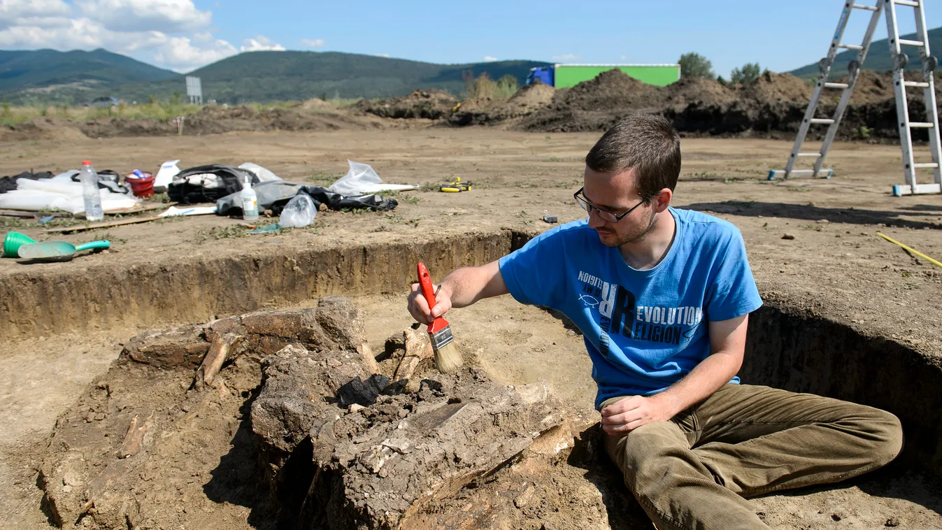 Mamutmaradványokat találtak Szurdokpüspökinél 