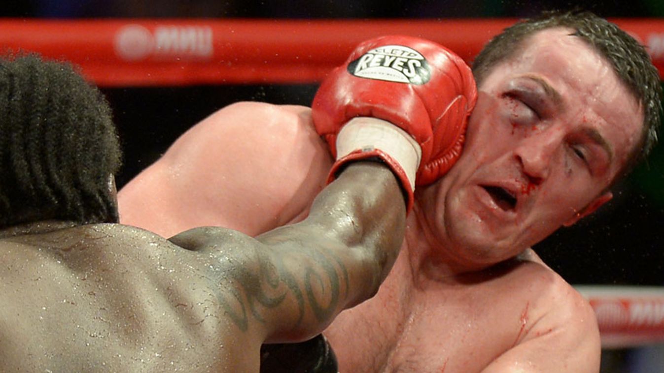 Denis Lebedev, box, WBA világbajnoki mérkőzés
