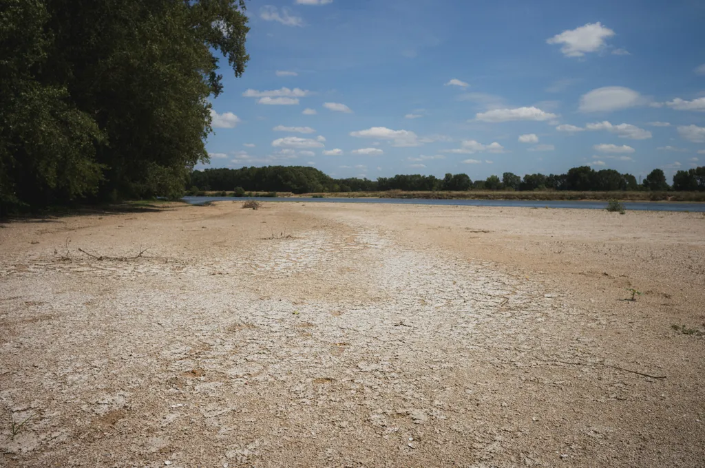aszály, szárazság, kiszáradt, folyó, meder, nyár, hőség, franciaország, Loire 