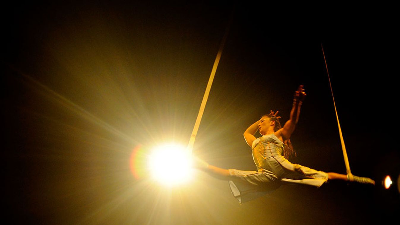 Cirque du Soleil, artista, illusztráció