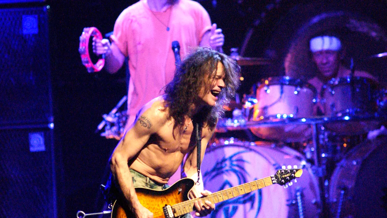 Eddie Van Halen, zenész, gitáros, koncert 