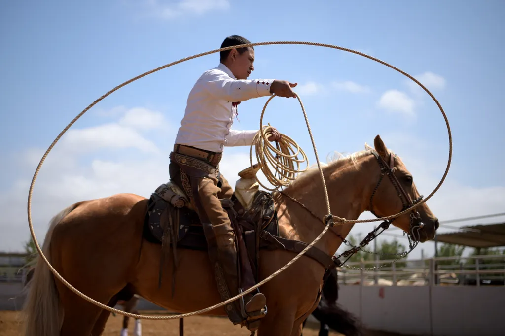 charro, mexikó, rodeó, lovas, verseny, sport, nemzeti, cowboy 