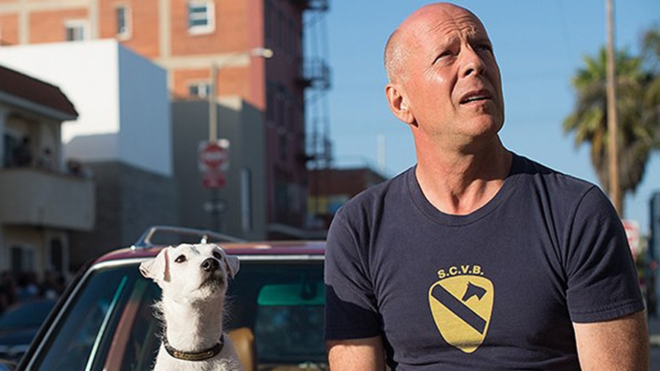 Bruce Willis a Volt egyszer egy Venice című filmben 