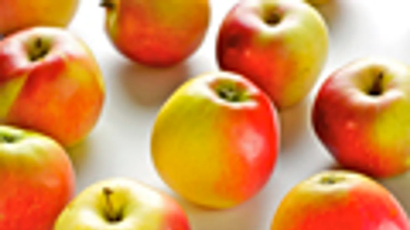 alma, gyümölcs, táfelspicc