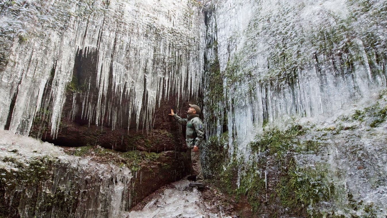 Eisenach, 2015. február 16.
Stefan Wichmann erdőőr nézi az óriási jégcsapokat az úgynevezett Sárkány-szurdokban a türingiai Eisenach közelében fekvő erdőben 2015. február 16-án. A hatóságok a balesetveszély miatt lezárták a szurdokot a turisták elől. (MTI