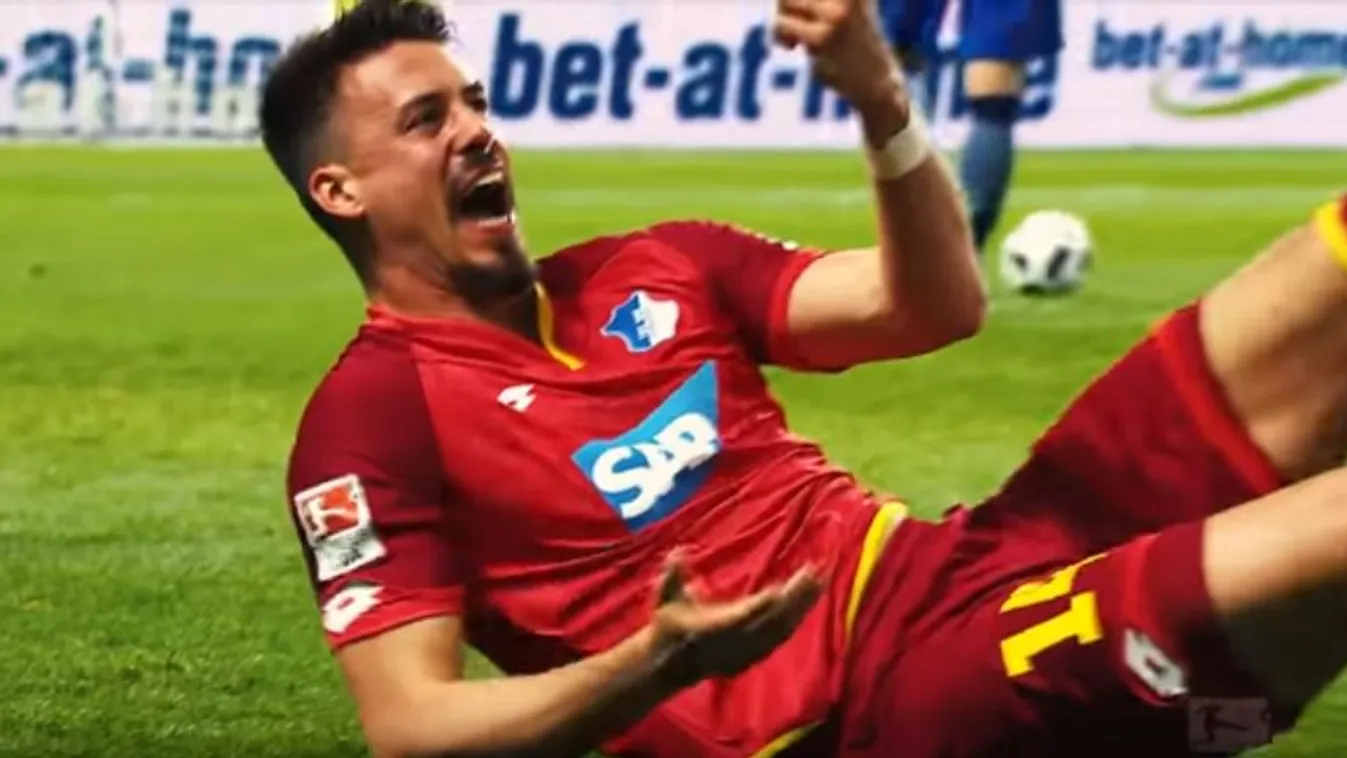 Sandro Wagner hoffenheim 