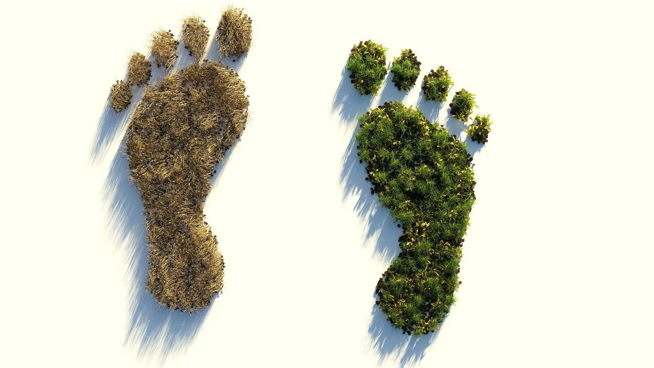 ökológiai lábnyom globális felmelegedés környezetvédelem 