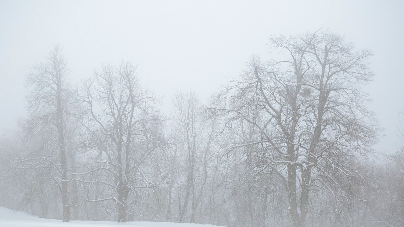 Normafa, havazás, hó, december 2. 2019, tél, Budapest, belváros 