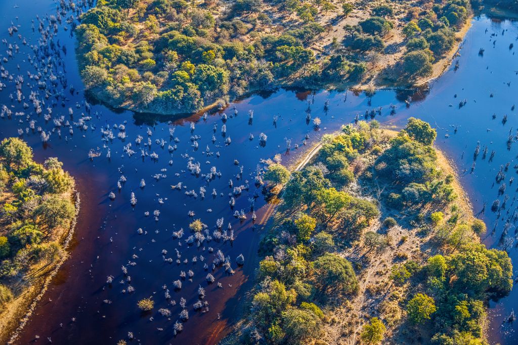 Afrika, Botswana, Okavango Delta 