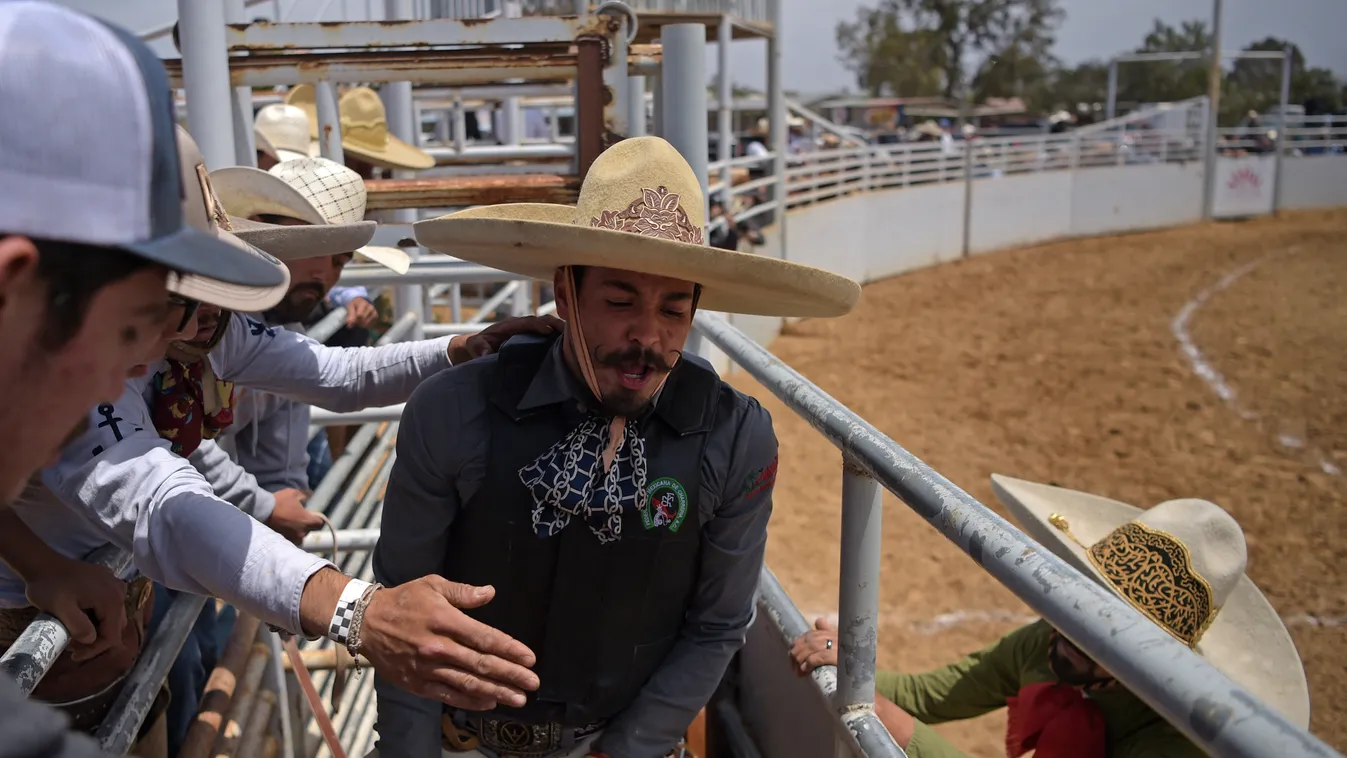 charro, mexikó, rodeó, lovas, verseny, sport, nemzeti, cowboy 