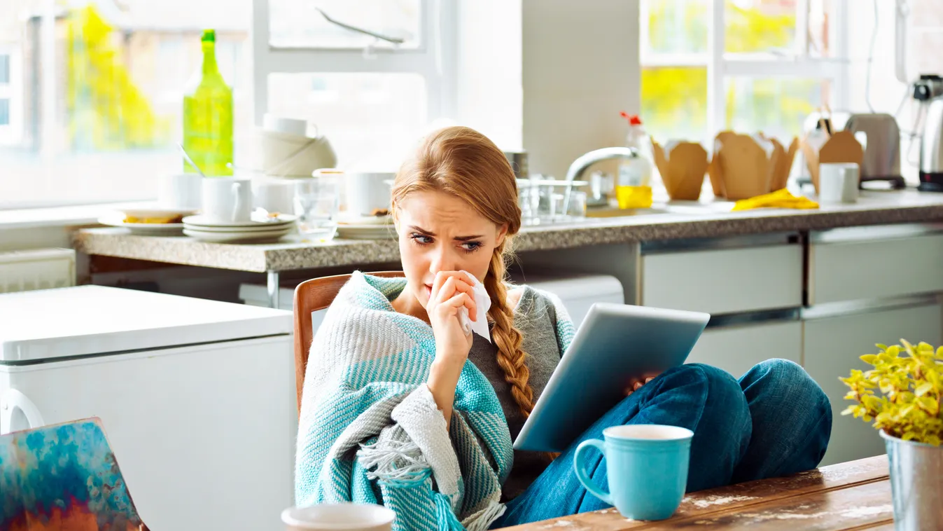 Sick woman 20-24 Years Autumn Beautiful Blanket Blowing Nose Caucasian Cold And Flu Cold Remedy Cold Virus Communication Computer Equipment Concentration Contemporary Cup Digital Tablet Distraught E-reader Exhaustion Female Fever Flu Virus Global Communic