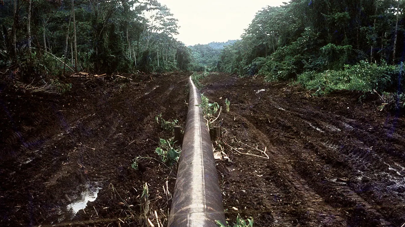 olajvezeték fut egy ecuadori erdőben