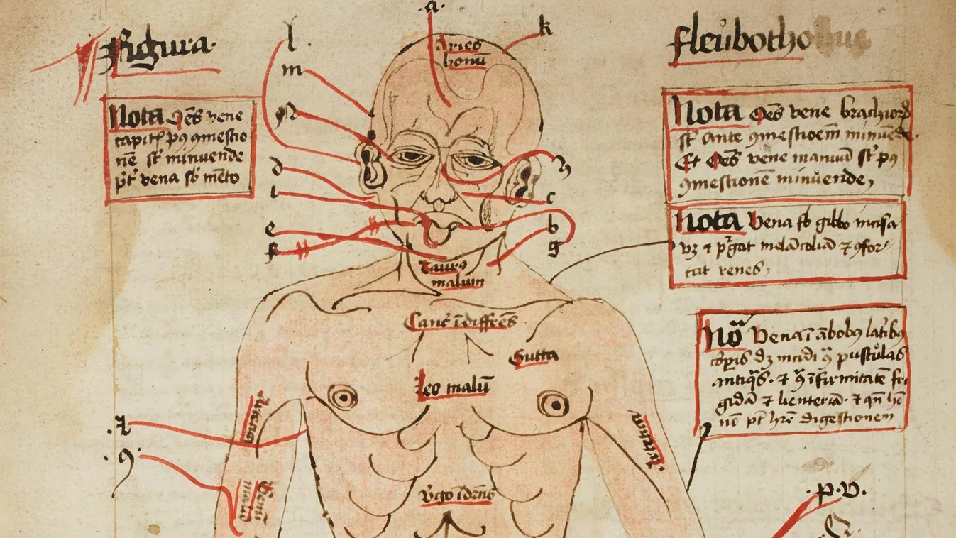 középkori orvoslás 