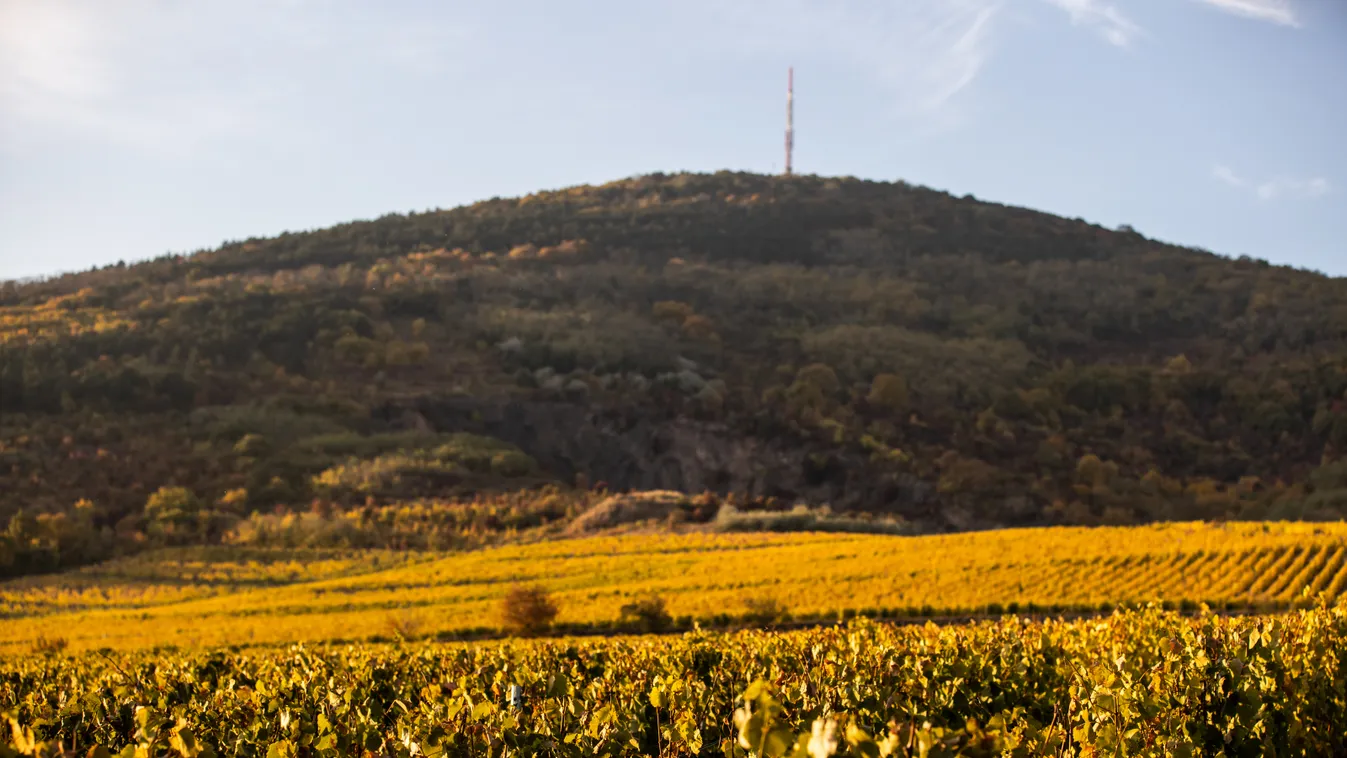 Múzeumok, Őszi, Fesztiválja, Sajtótúra, Tokaj 