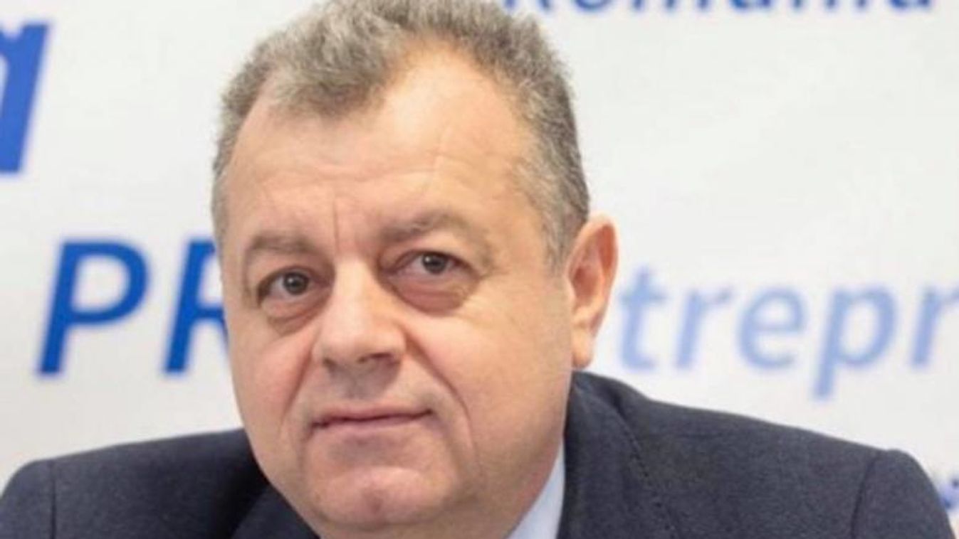 Mircea Banias (PNL), Konstanca megyei képviselő 