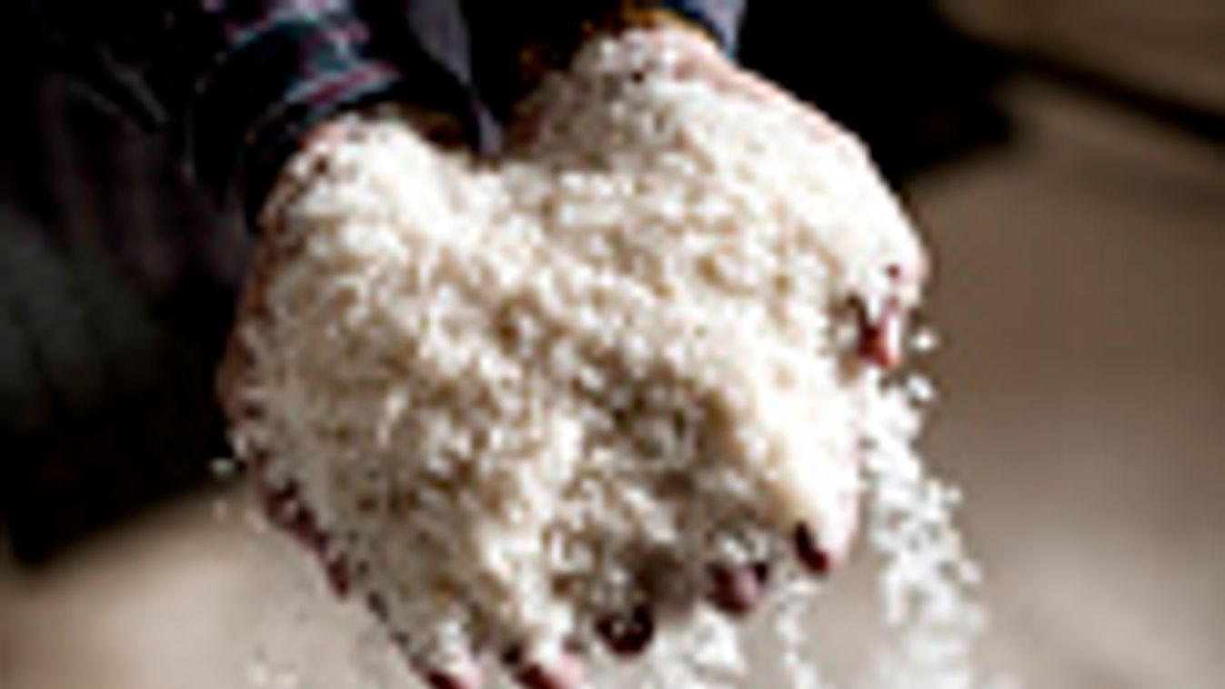 Pergő rizsszemek, génkifejeződést befolyásoló növényi ételek