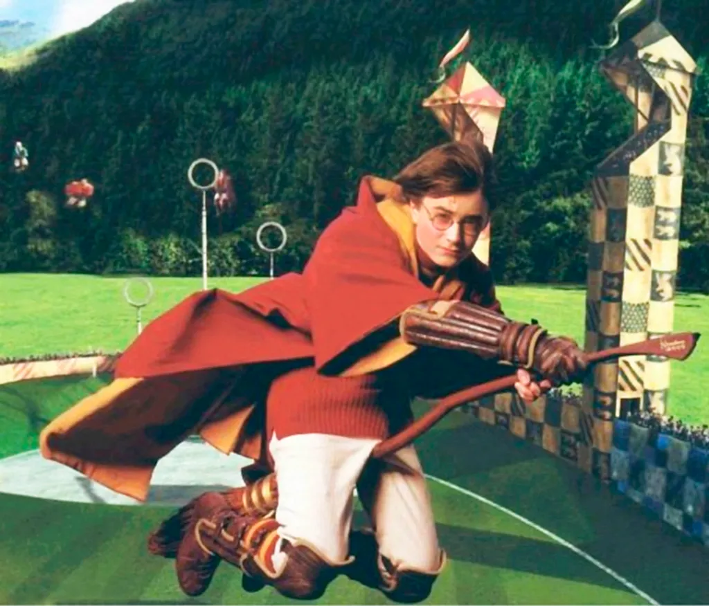 Harry Potter a l ecole des sorciers quidditch Square Horizontal 