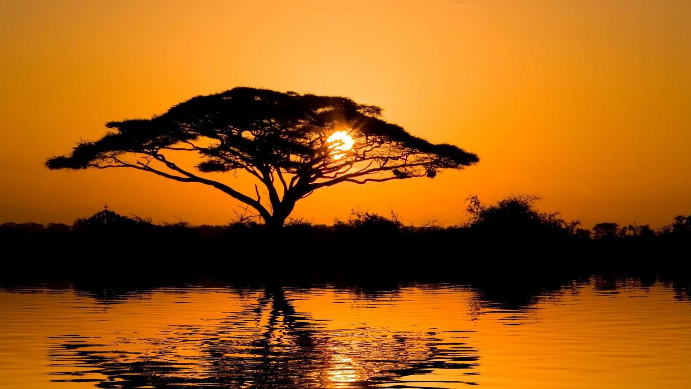 Afrika naplemente hangulat 