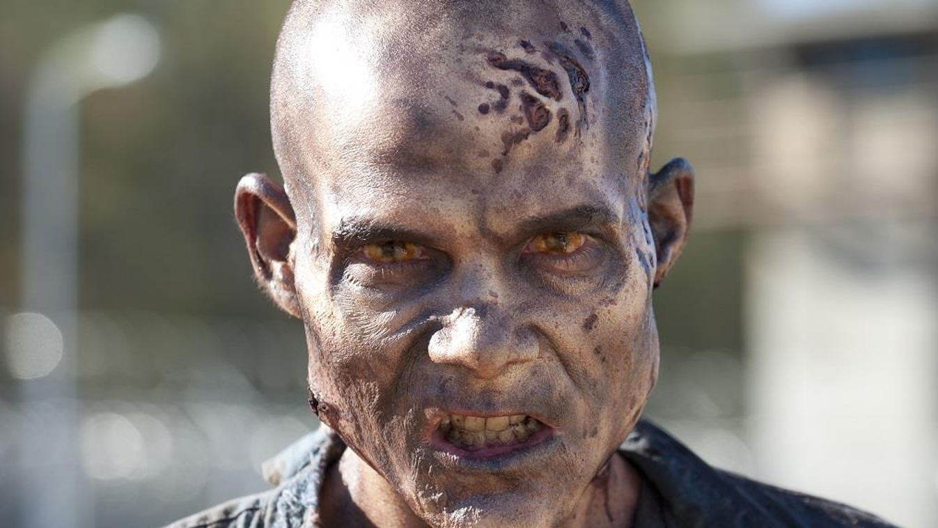 Walker Walker - The Walking Dead - Season 3, Episode 16 - Photo Credit: Gene Page/AMC 