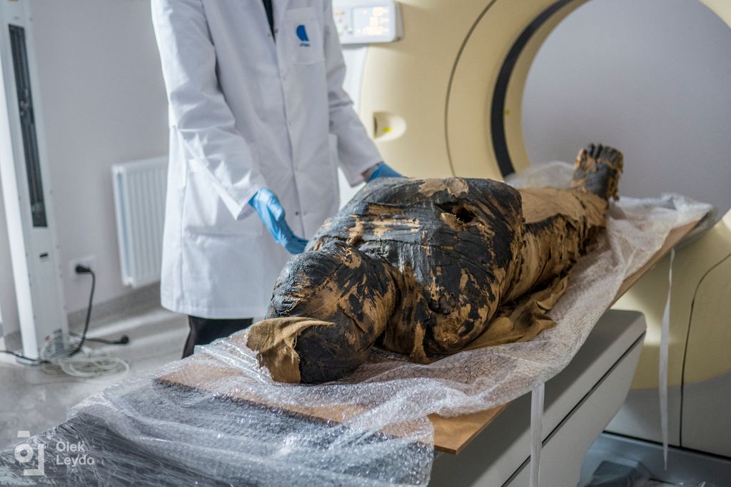 Mummy-to-be: Pregnant embalmed body identified in Poland TOPSHOTS Horizontal ARCHAEOLOGY ARCHAEOLOGICAL FIND MUMMY PREGNANT WOMAN EGYPTOLOGY 