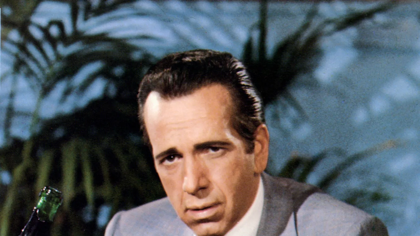 The Man with Bogart's Face double bogart Cinema Square Vertical CHAMPAGNE PORTRAIT CRIME 