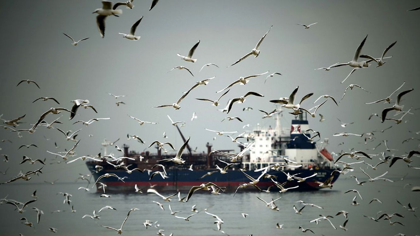 szupertanker
Olajtanker a Libanon partjainál, a fedélzetmosás is szennyez 