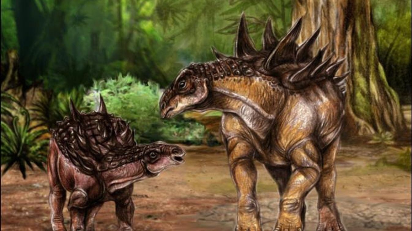 Hungarosaurus és Struthiosaurus 