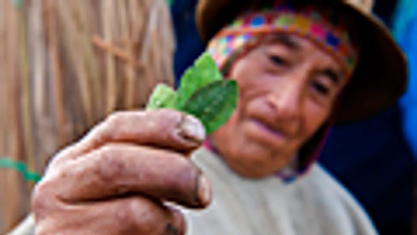 kokacserje, egy perui indián kokaleveleket mutat