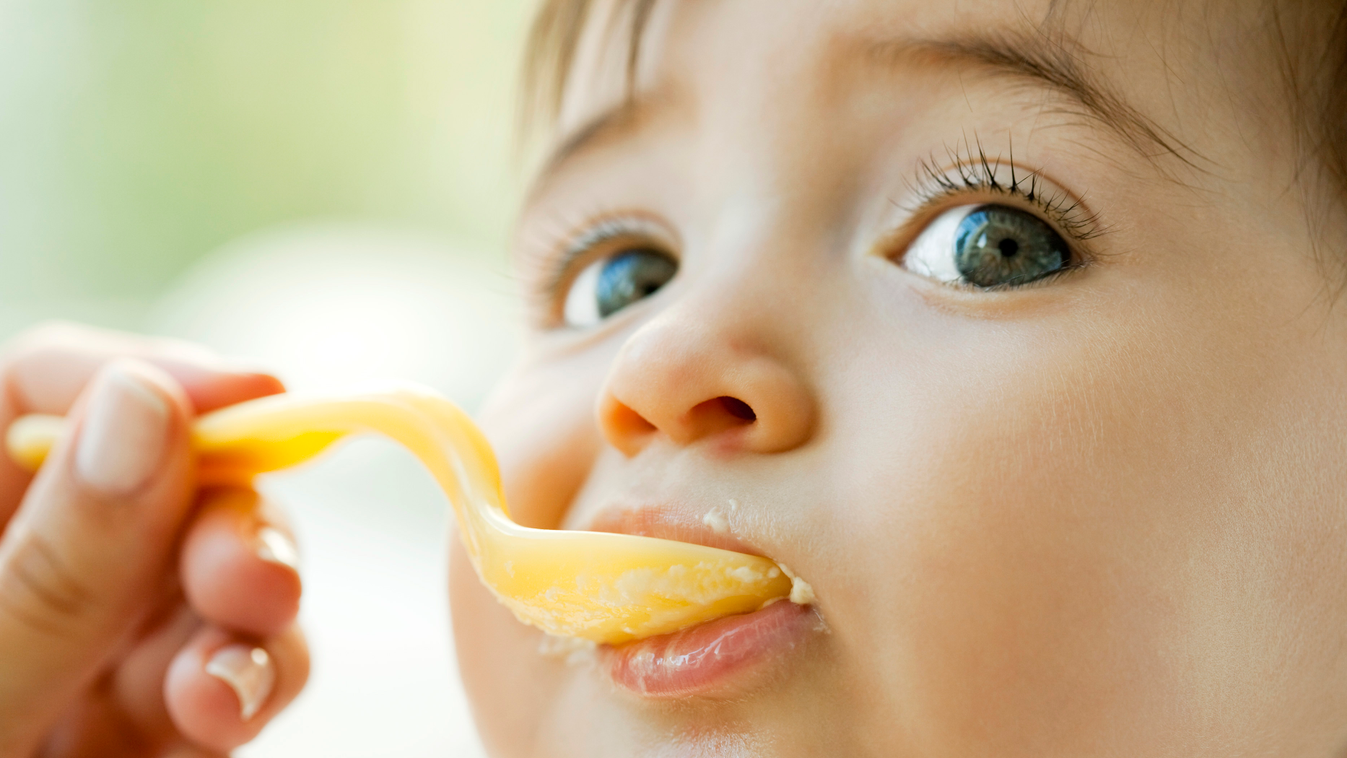 A legújabb kutatások azt bizonyítják, hogy felnőttkori egészségi állapotunkat döntően az határozza meg, megfelelően tápláltak-e bennünket életünk fogantatástól számított első 1000 napjában, etetés, baba 