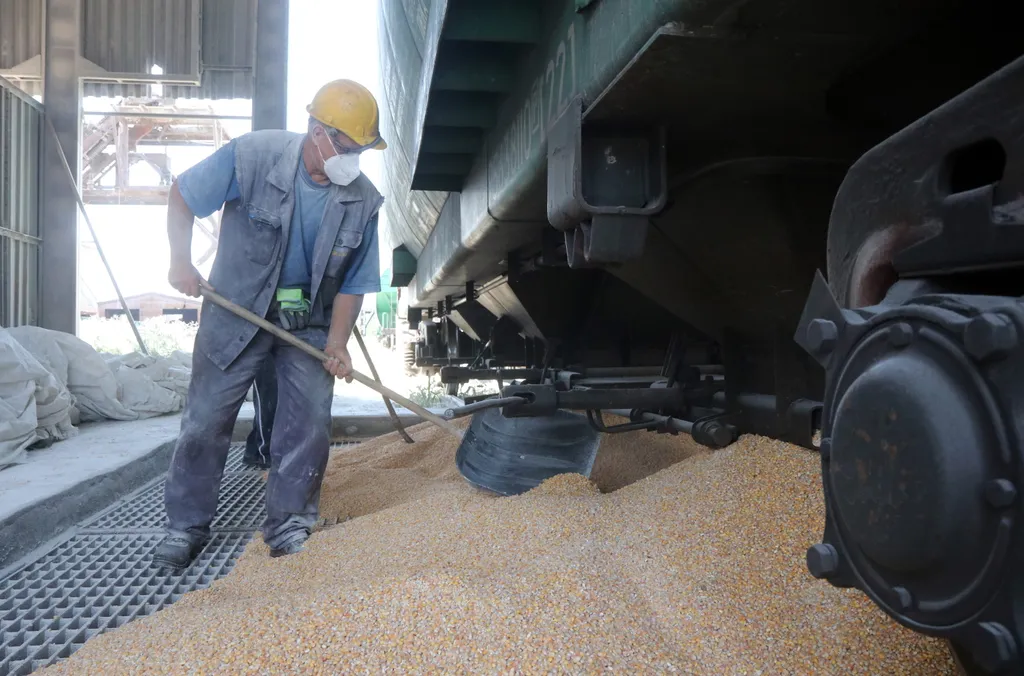 Magyarország segít az Ukrajnában rekedt gabona szállításában 